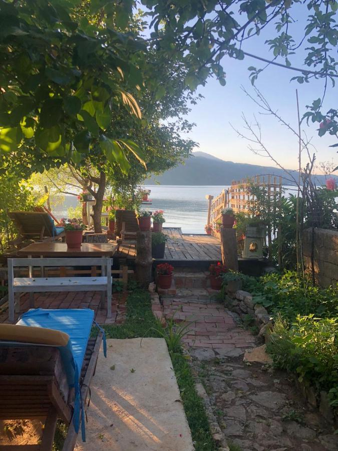 Guest house Rosas Lin