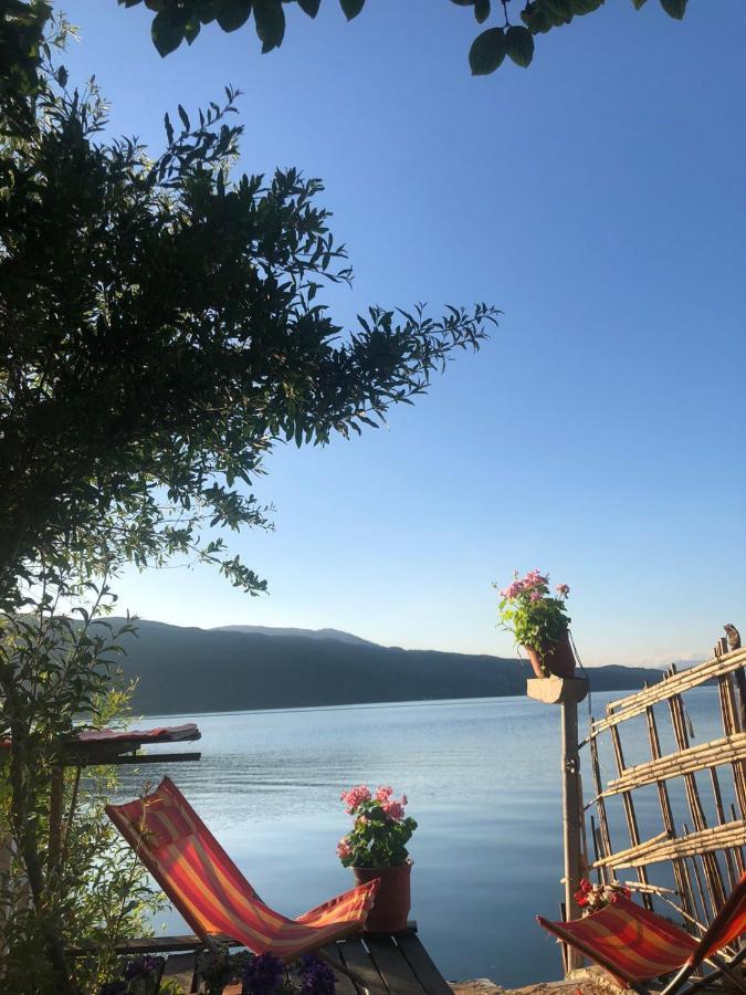 Guest house Rosas